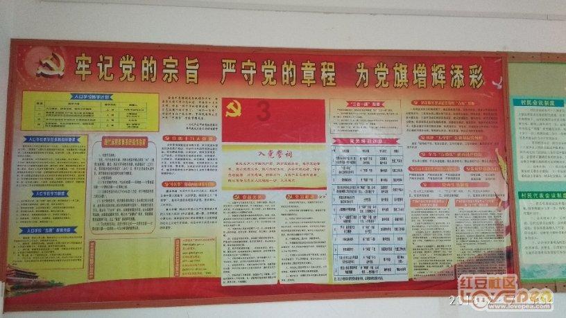 长期喝咖啡会导致皮质醇过高，什么是“皮质醇过高”？会对身体有哪些影响？游戏画面